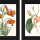 Free Printable Orange Botanical Art